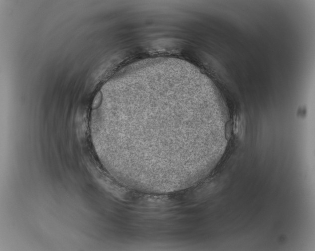 X0000112730915200910011152