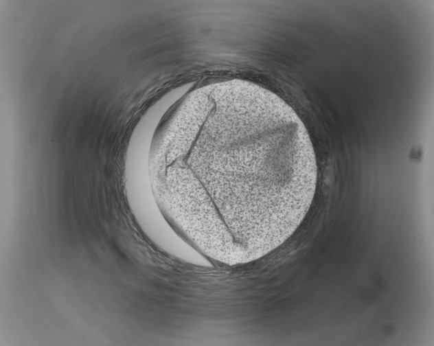 X0000112730916200910011152