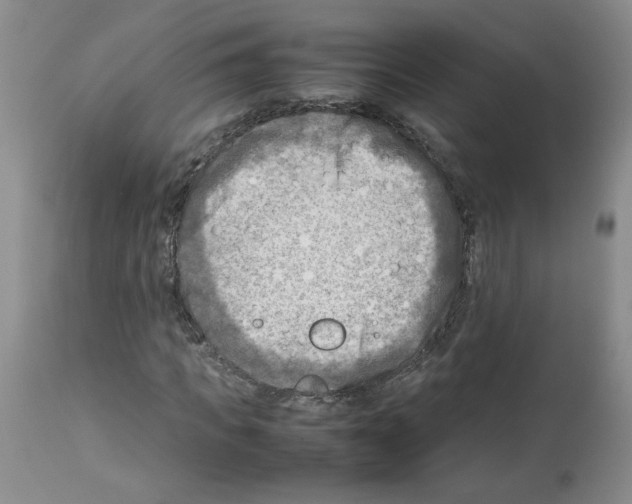 X0000112730917200910011153