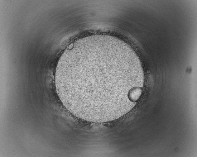 X0000112730918200910011153