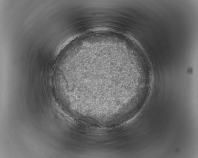 X0000112730921200910011153