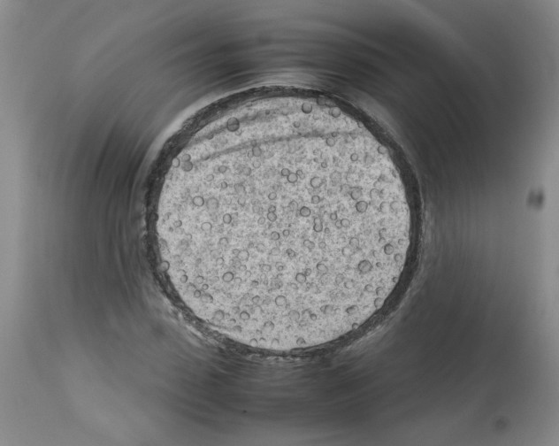 X0000112730923200910011153