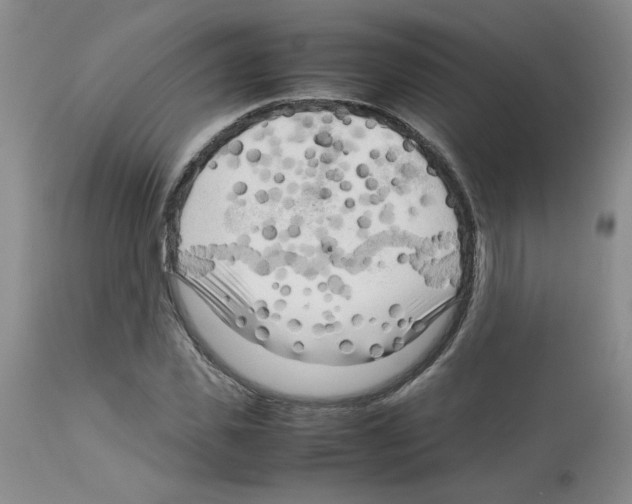 X0000112730925200910011153