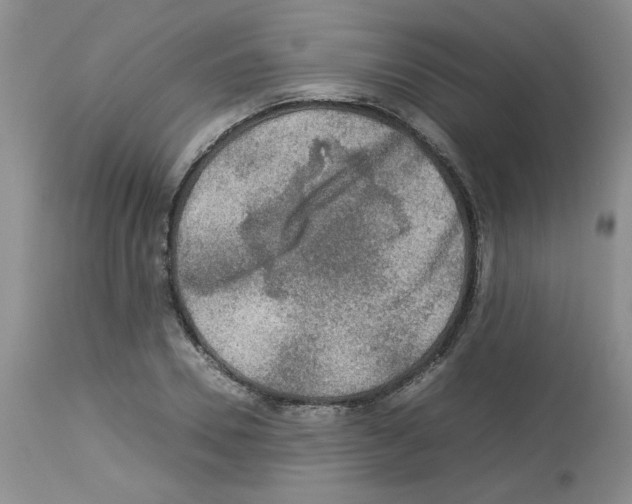 X0000112730930200910011153