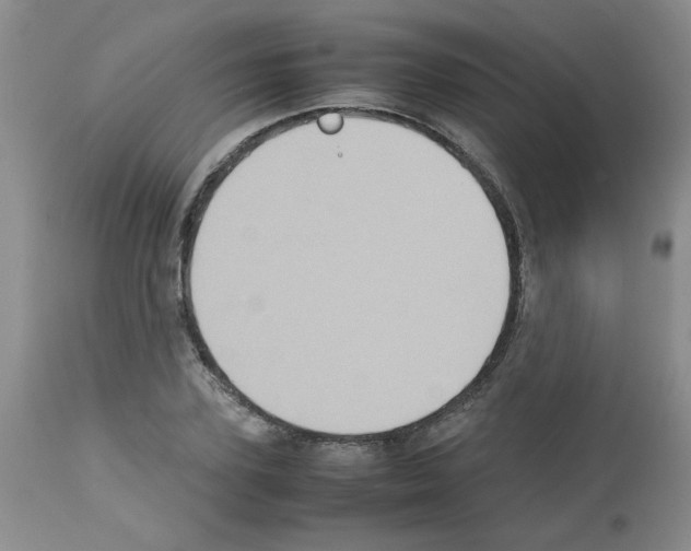 X0000112730931200910011153