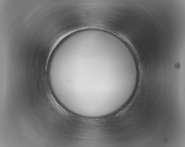 X0000112730932200910011153