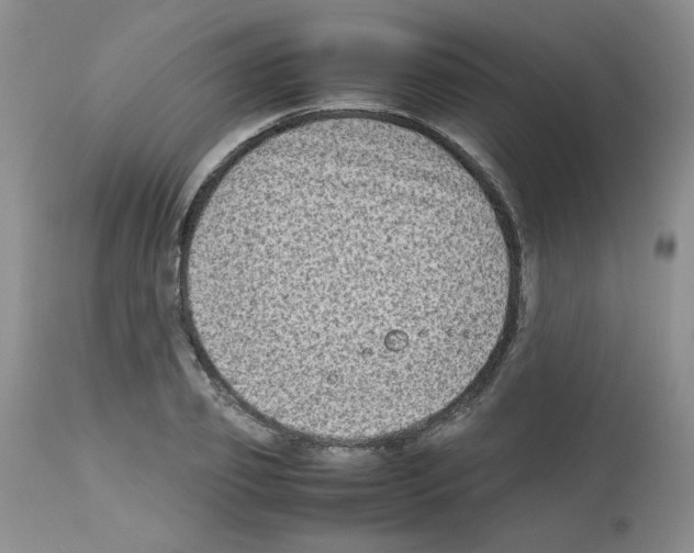 X0000112730933200910011153