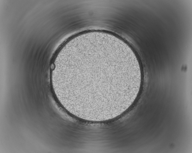 X0000112730934200910011153