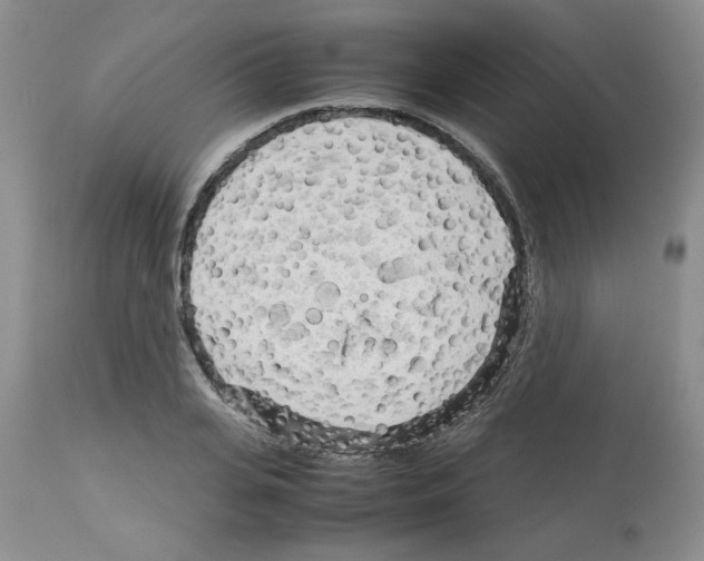 X0000112730935200910011153