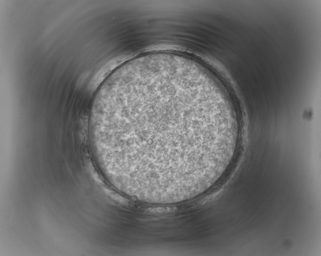 X0000112730937200910011153