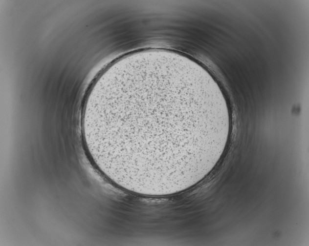 X0000112730939200910011153