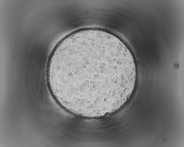 X0000112730943200910011153