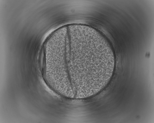 X0000112730944200910011153