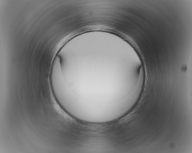 X0000112730946200910011153