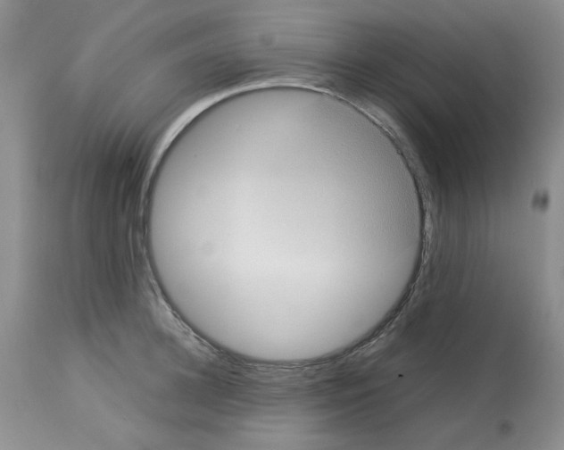 X0000112730948200910011153