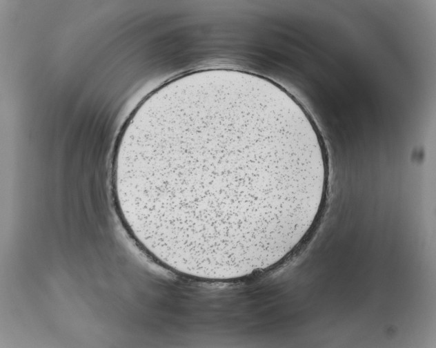 X0000112730949200910011153