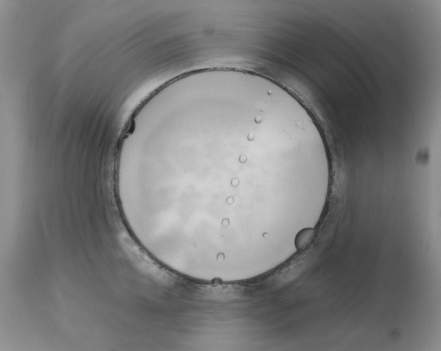 X0000112730952200910011153