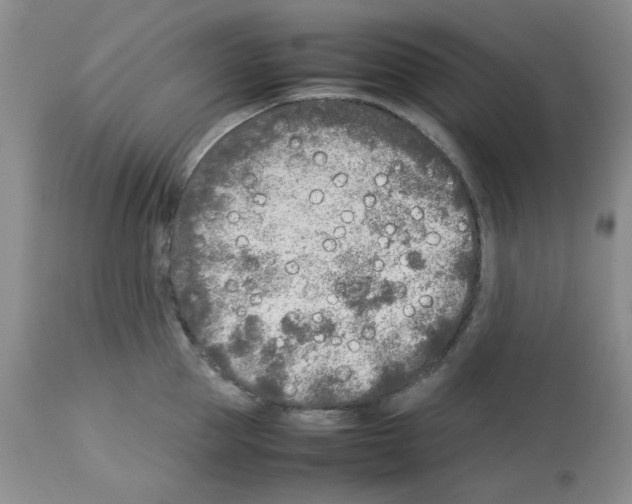 X0000112730953200910011153