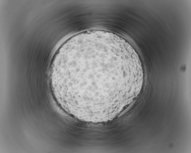 X0000112730955200910011153