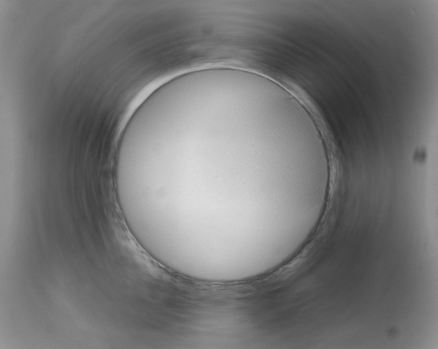 X0000112730956200910011153