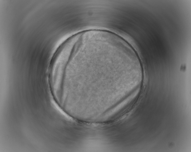 X0000112730958200910011153