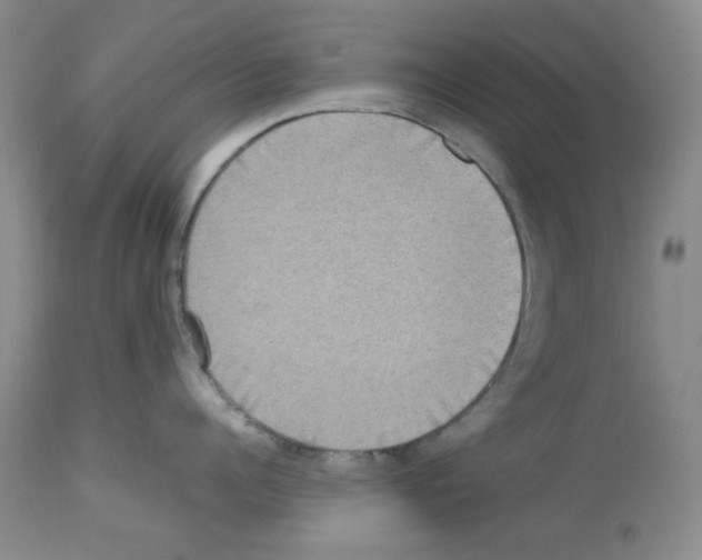 X0000112730960200910011153