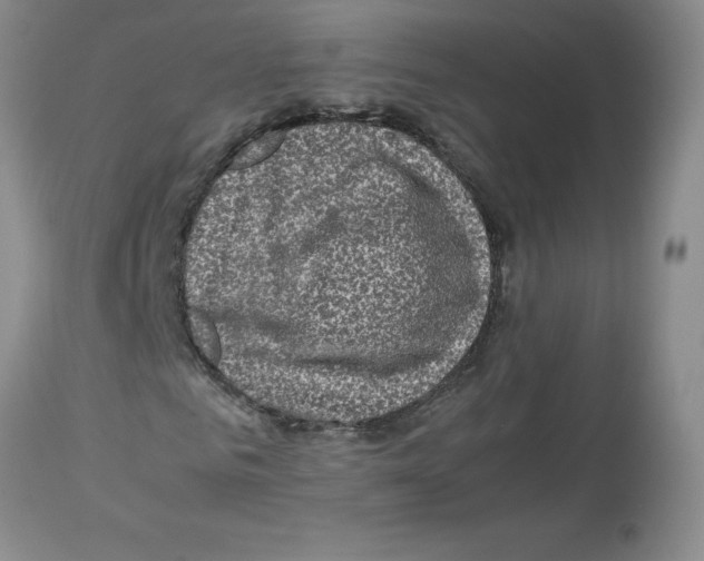 X0000112730961200910011152