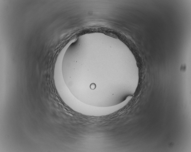 X0000112730965200910011152