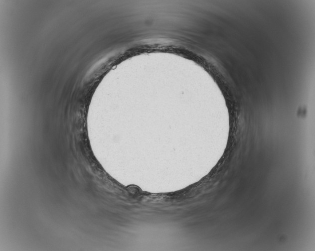 X0000112730967200910011152