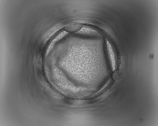 X0000112730969200910011152
