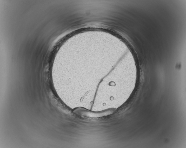 X0000112730971200910011152