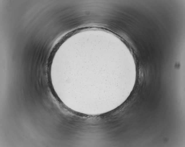 X0000112730972200910011152