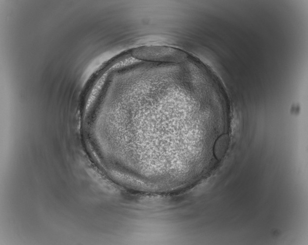 X0000112730973200910011152