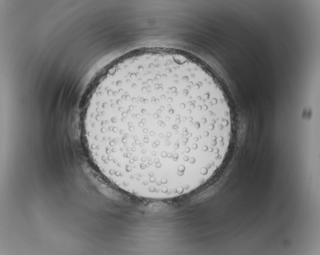 X0000112730974200910011152