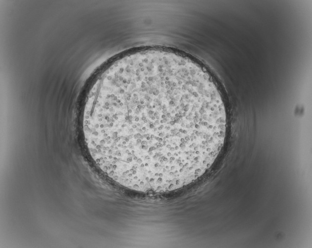 X0000112730975200910011152