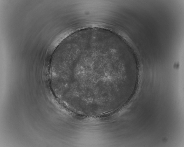 X0000112730977200910011152