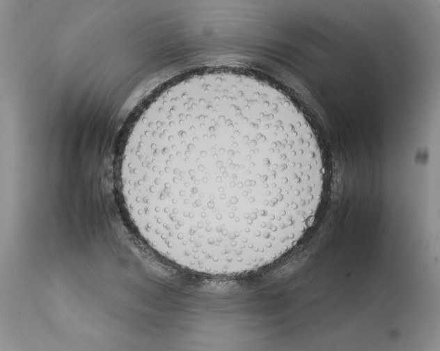 X0000112730978200910011152