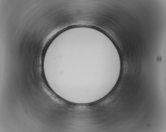 X0000112730982200910011152