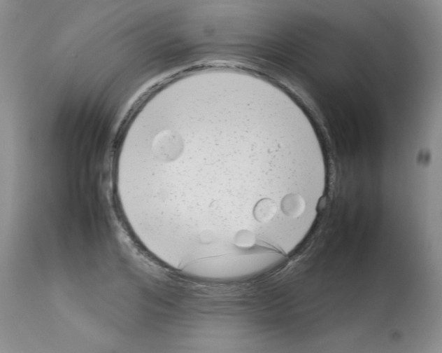 X0000112730984200910011152