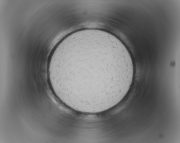 X0000112730986200910011152