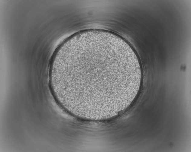 X0000112730987200910011152