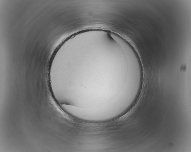 X0000112730989200910011152