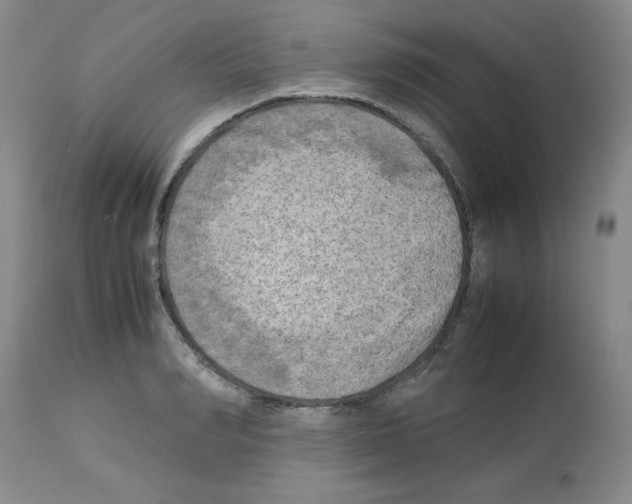 X0000112730990200910011152