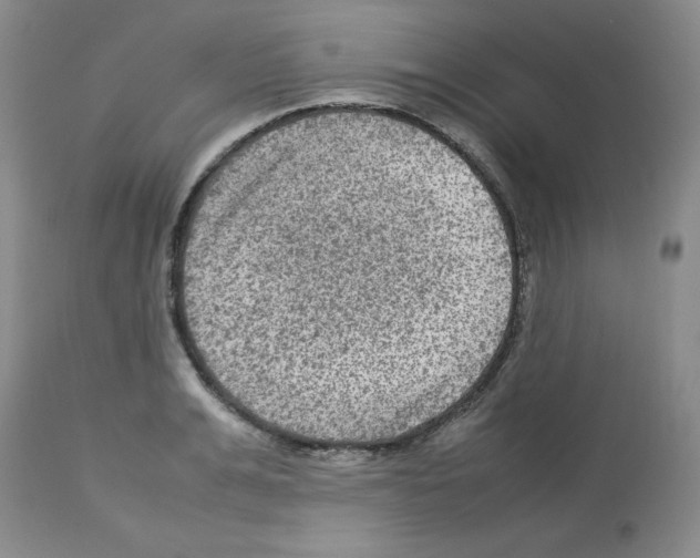 X0000112730991200910011152