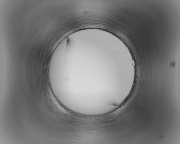 X0000112730993200910011152