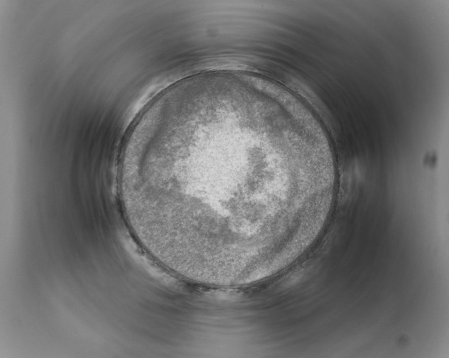 X0000112730994200910011152