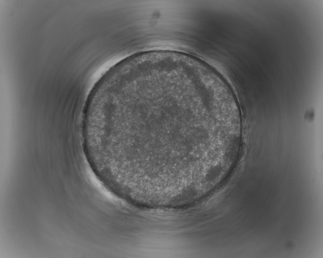 X0000112730995200910011152