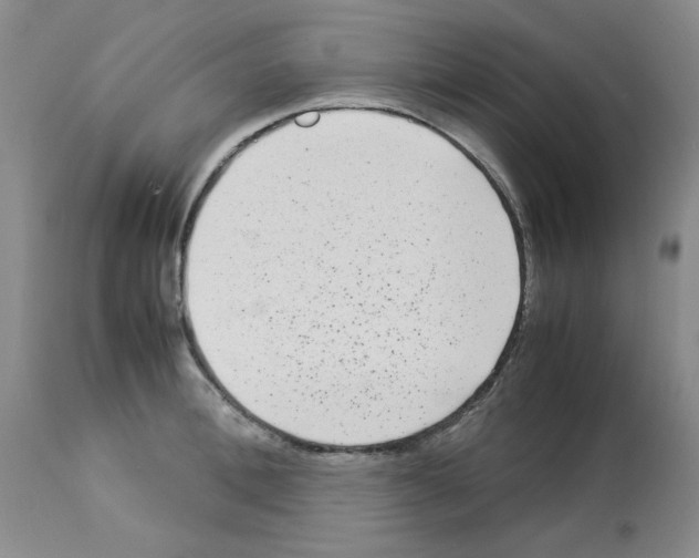 X0000112730996200910011152