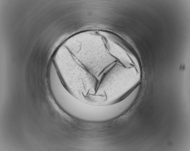 X0000112730997200910011152