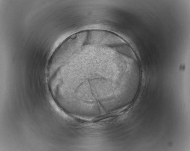 X0000112730998200910011152
